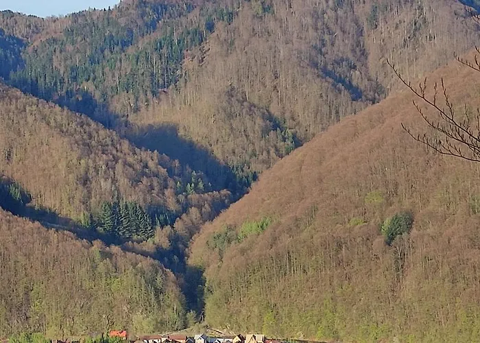 Alpesi faház U Majki *